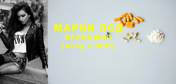 шишки Каменка