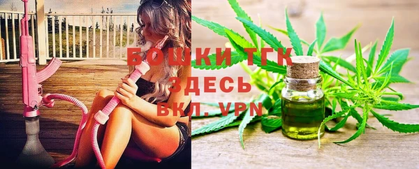 шишки Каменка