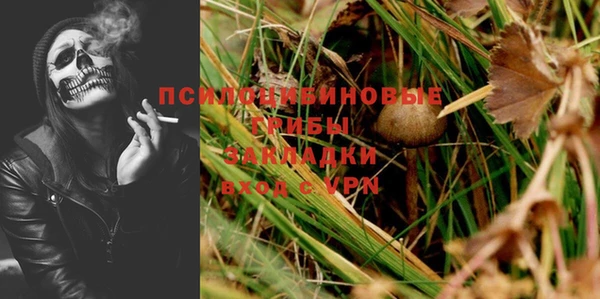 хмурый Карпинск