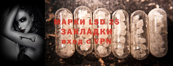 шишки Каменка