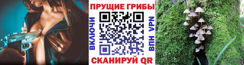 Псилоцибиновые грибы прущие грибы  Купить где  Луга 